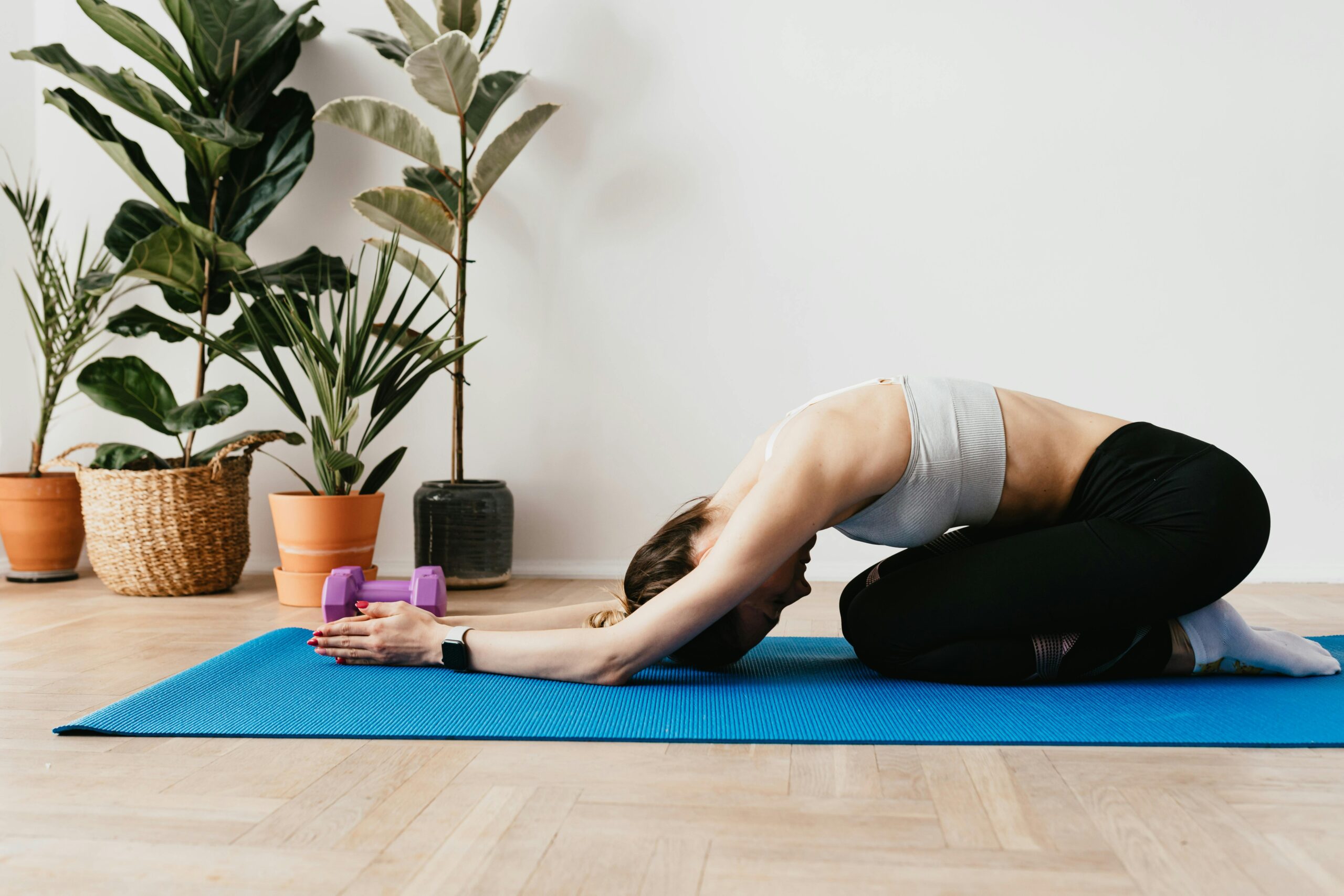 Simple workout equipment and exercises to Get Fit at Home without a gym membership